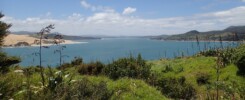 Uitzicht over de Hokianga harbour